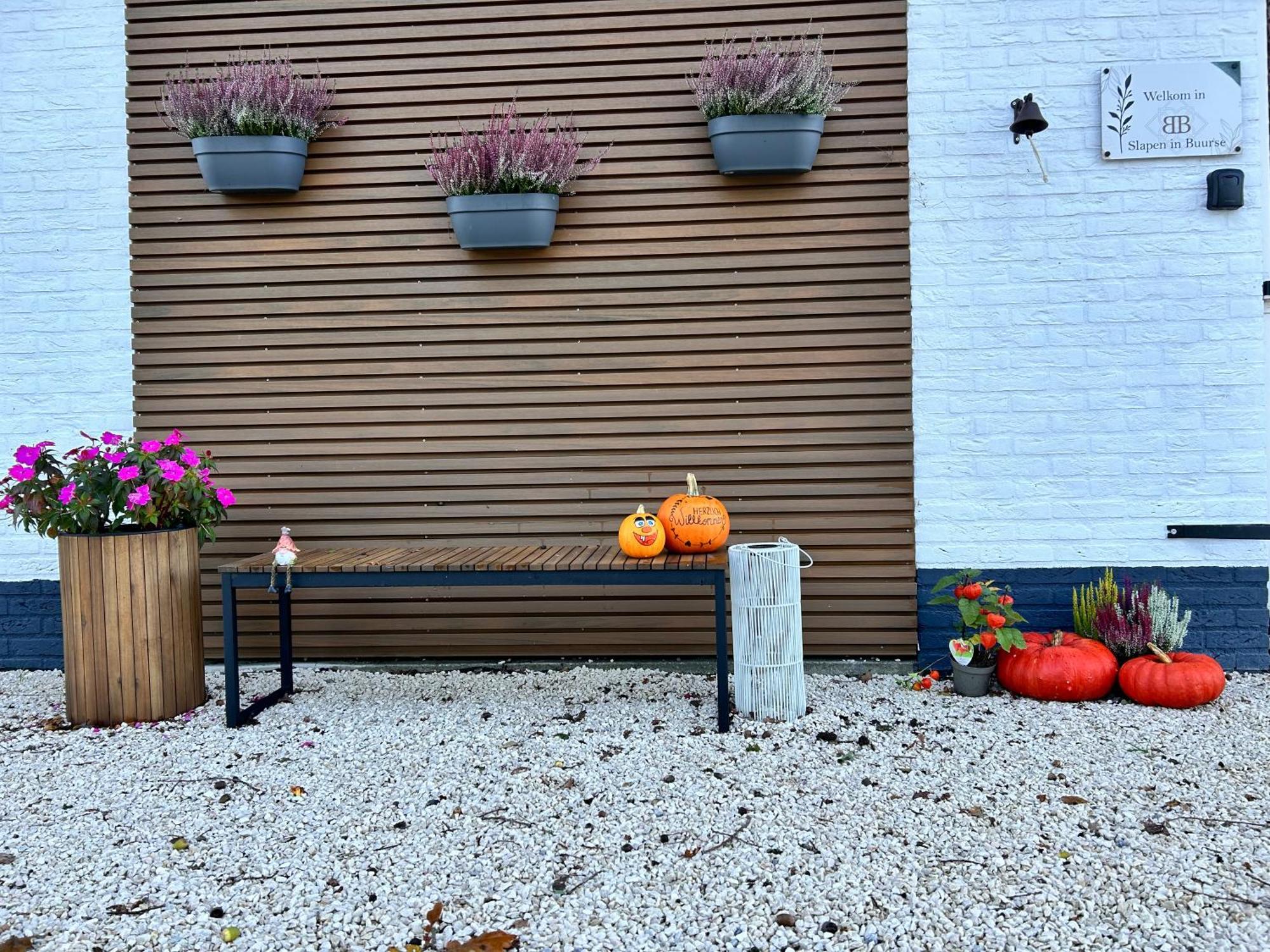 B&B Slaap In Buurse Haaksbergen Extérieur photo